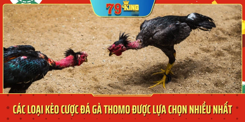 Các loại hình cá cược tại đá gà 79king là gì?